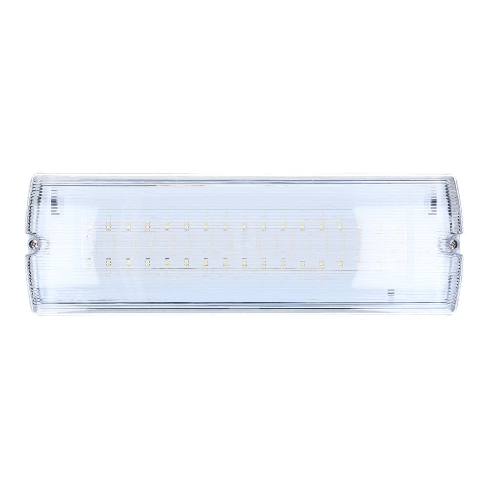 Noodverlichting wand opbouw IP65 LED 420lm met 4 pictogrammen Noodverlichting wand opbouw IP65 LED 420lm met 4 pictogrammen