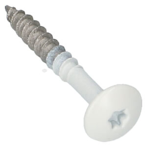 Kleurkopschroef Torx